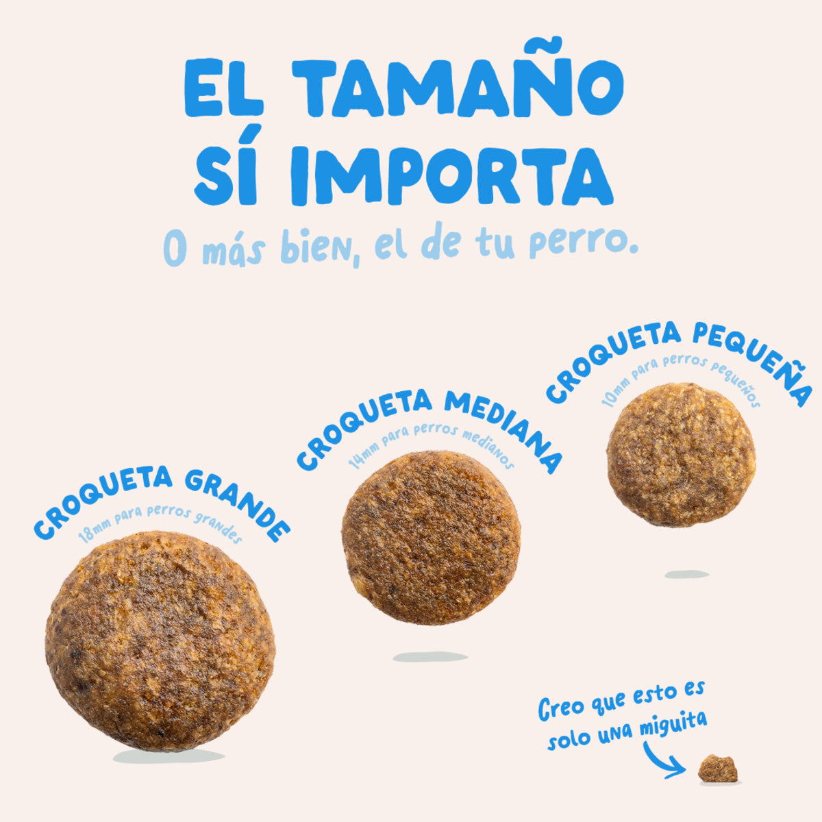 Pienso para perros Salmón Noruego Edgard & Cooper 1 Kg