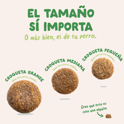 Pienso para perros Cordero Edgard &amp; Cooper 1 Kg