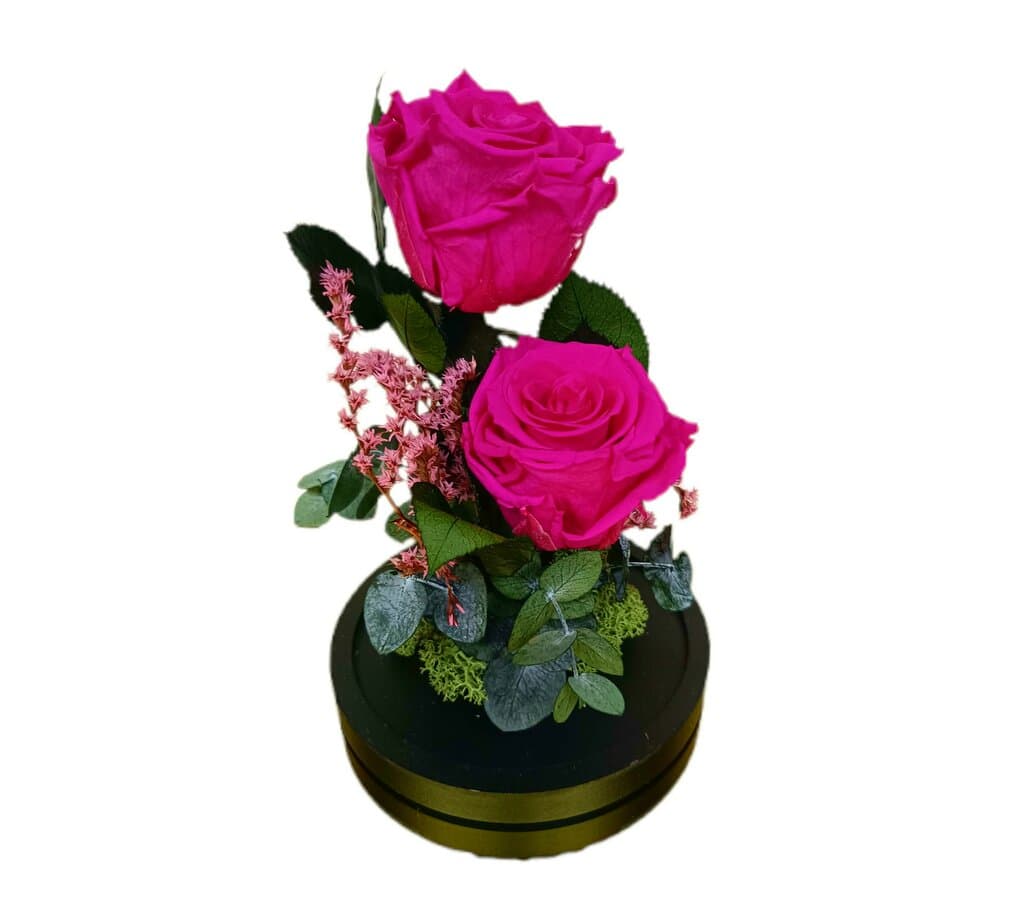 Cúpula 2 Rosas Fucsia 12x20cm