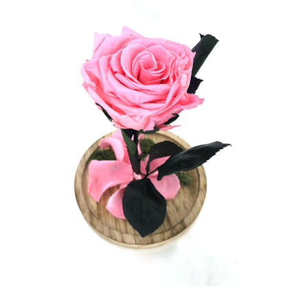 Mundo Eterno Rosa En Cúpula Rosa 12x20cm