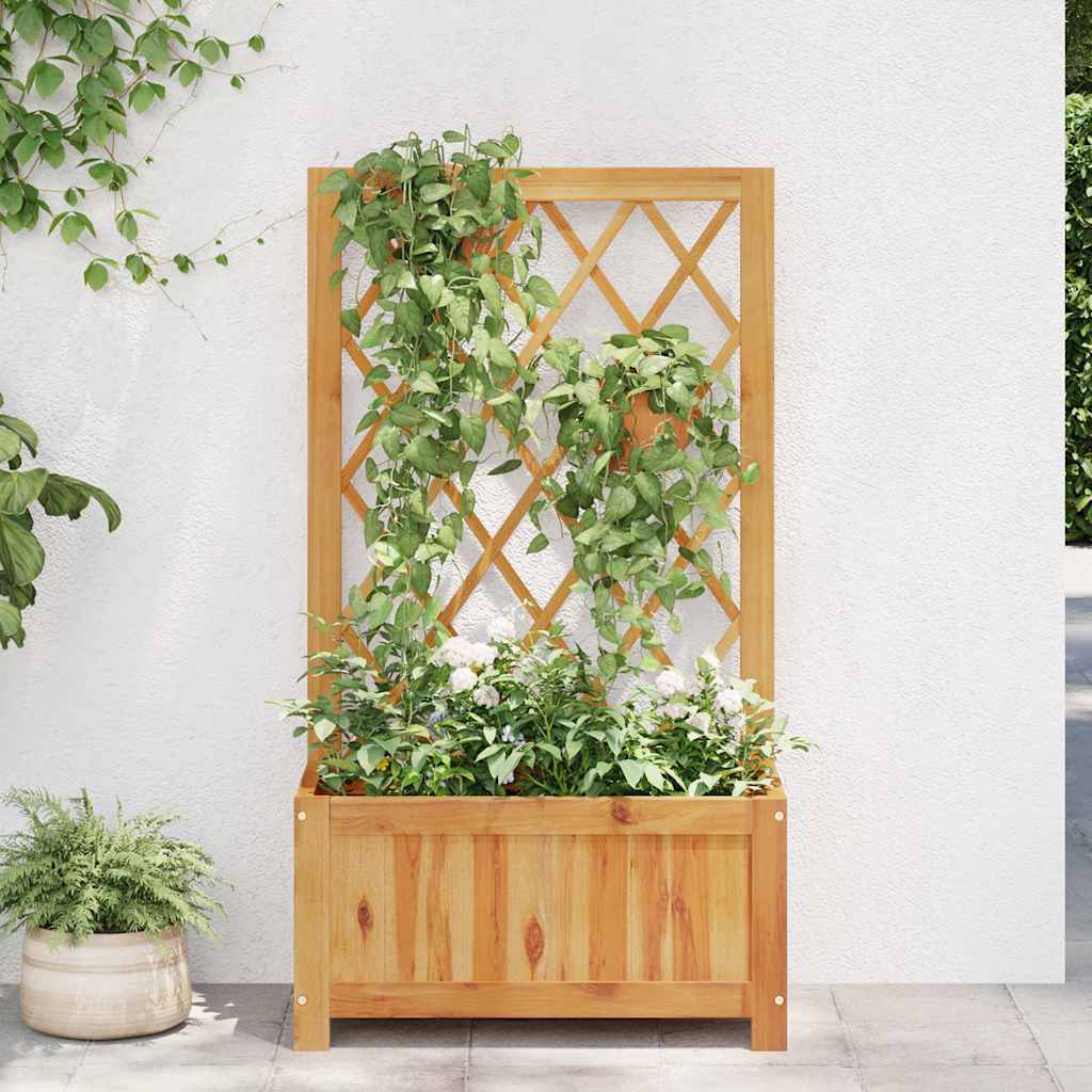 Arriate De Jardín Con Enrejado Madera De Acacia_2