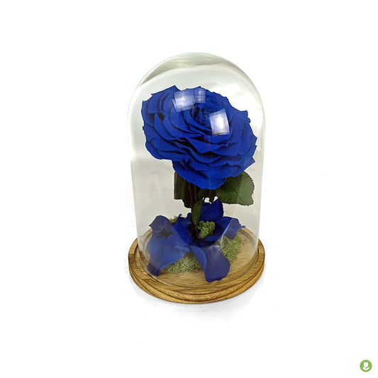 Mundo Eterno Rosa En Cúpula King Azul Oscuro 25x17cm_0