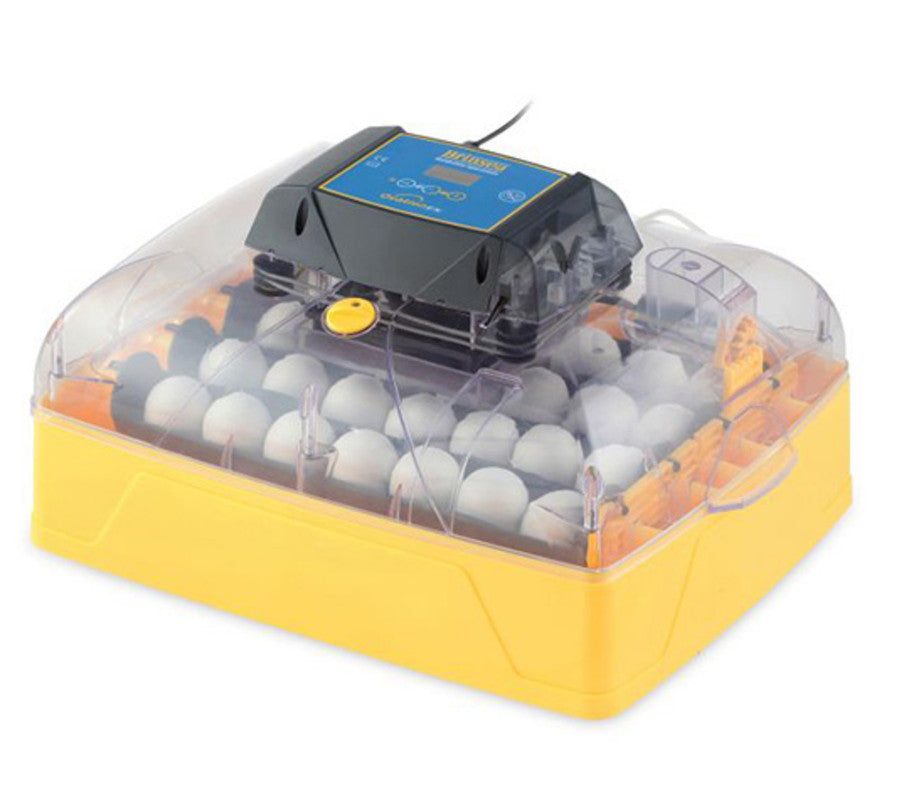 Incubadora Digital Brinsea Ovation 28 Ex - Control Automático De La Humedad_0