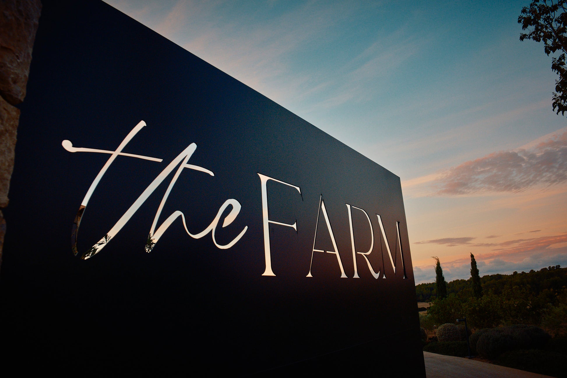 Aceite De Oliva Virgen Extra The Farm Mallorca 4 X 250 Ml