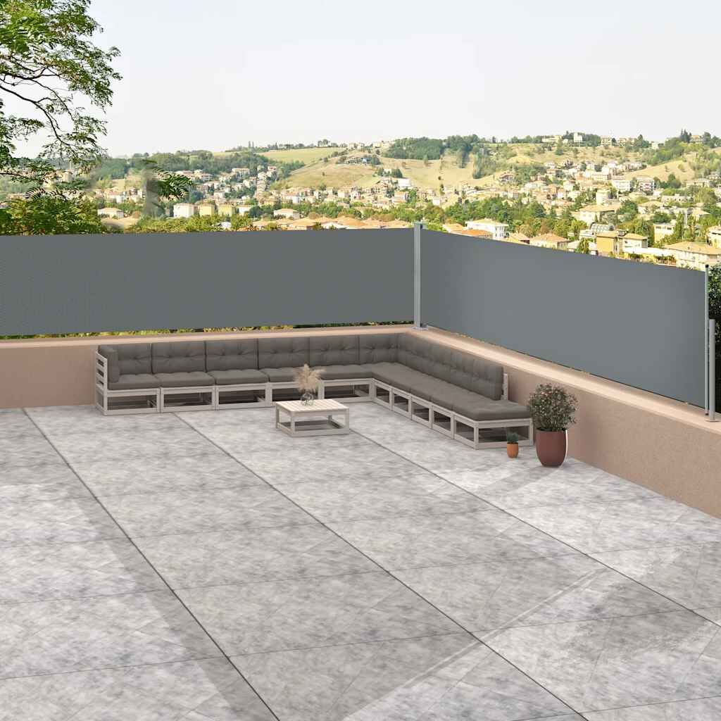Vidaxl Toldo Lateral Retráctil Antracita 117x1200 Cm_1