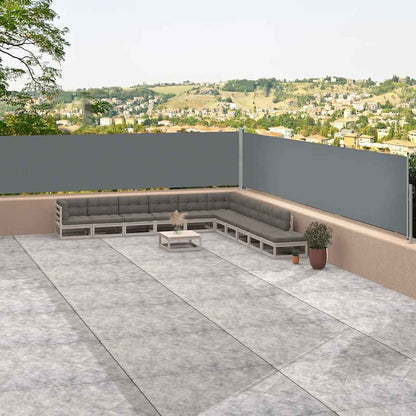 Vidaxl Toldo Lateral Retráctil Antracita 117x1200 Cm_1