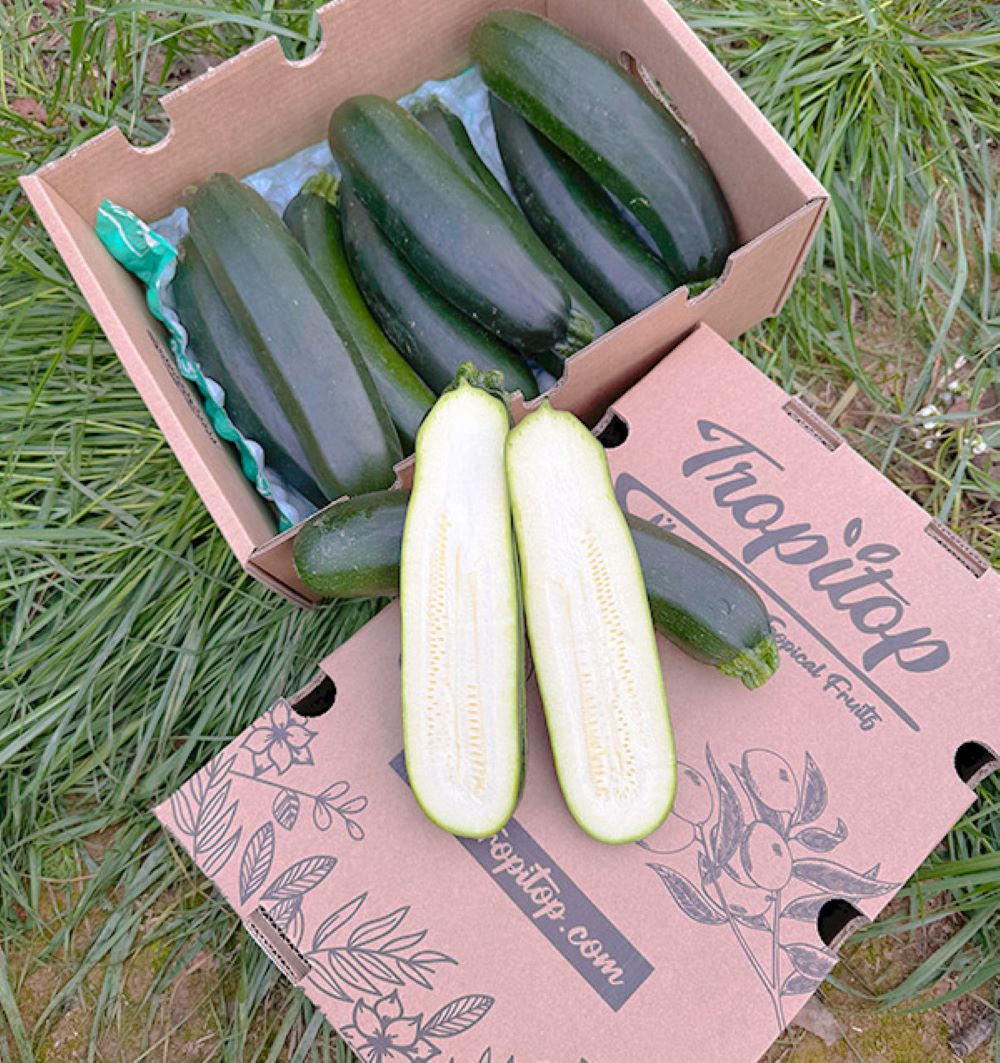 Caja De Calabacín Negro De Temporada Tropitop Caja De 15kg_4