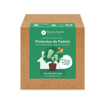 Kit de autocultivo Pimientos de Padrón Planeta Huerto