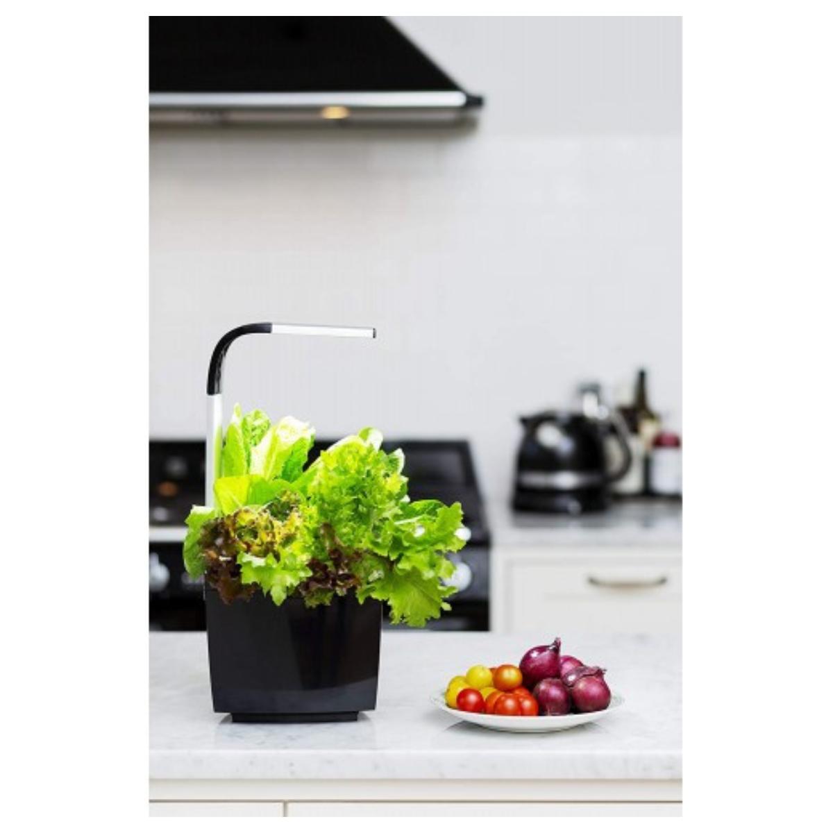 Maceta autocultivo T3 Kitchen Garden 20 x 17,5 cm Negro