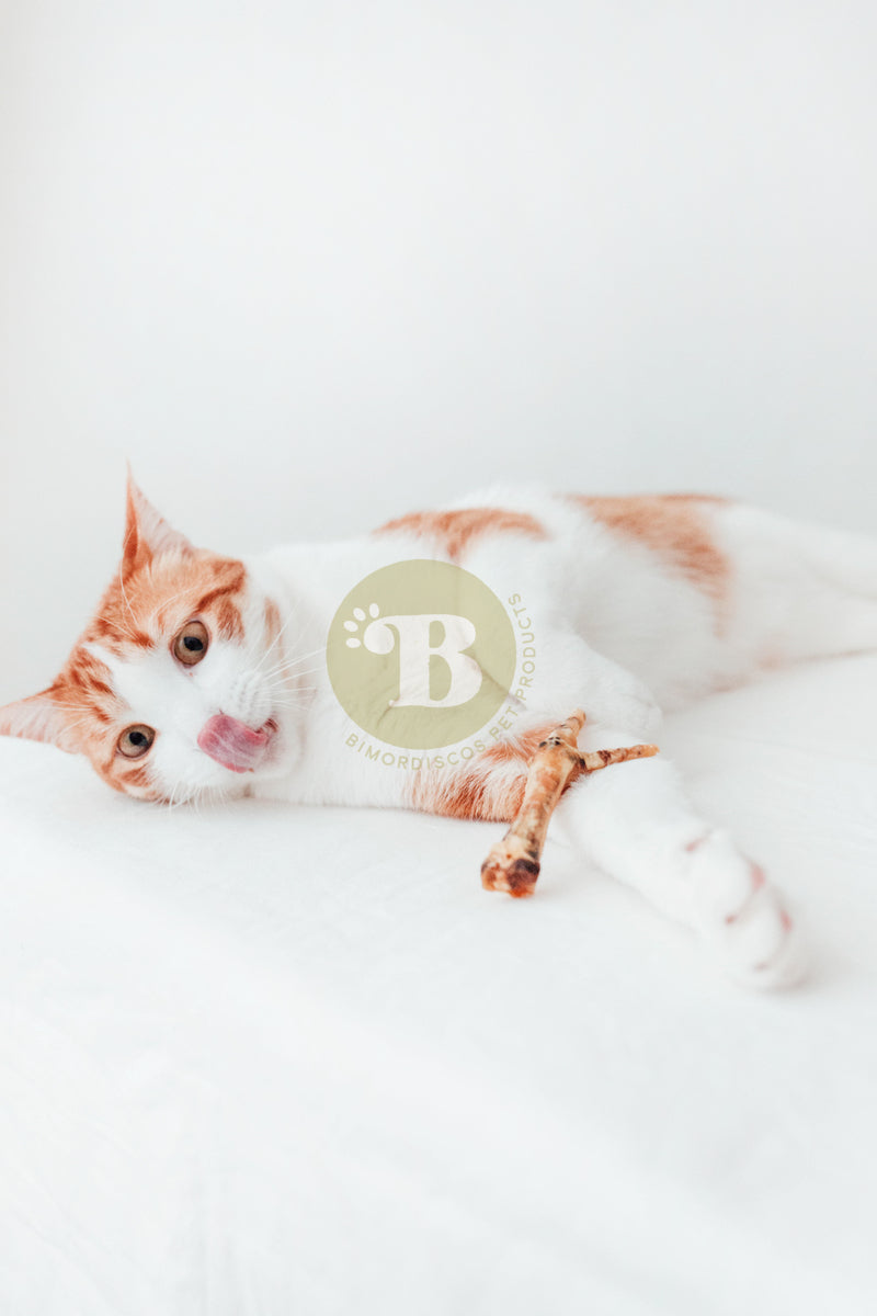 Bimordiscos Pack Snacks Naturales De Pollo Para Perros_4