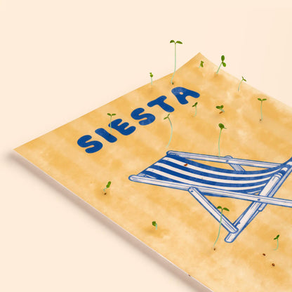 Postal Plantable - Siesta_2