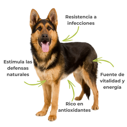 Suplemento natural para perros y gatos – Fórmula Real ECO Defensas & Vitalidad 100 g