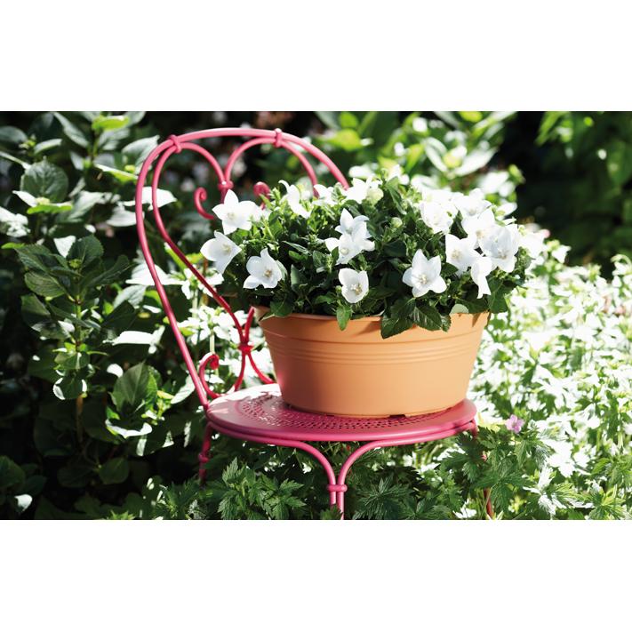Bowl redondo Green Basics Elho Antracita 27 cm