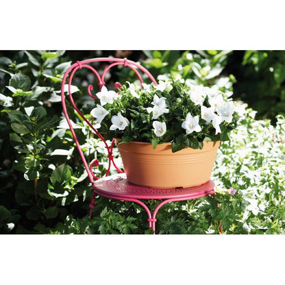 Bowl redondo Green Basics Elho Antracita 27 cm