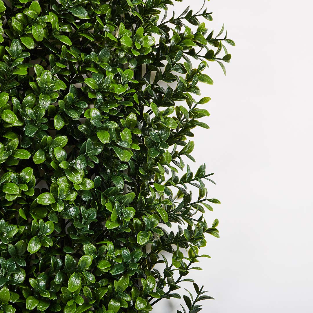 Rollo Jardín Vertical Boj - Decoración Natural Y Versátil 1x1 M / Multicolor_2