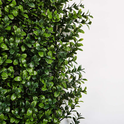Rollo Jardín Vertical Boj - Decoración Natural Y Versátil 1x1 M / Multicolor_2