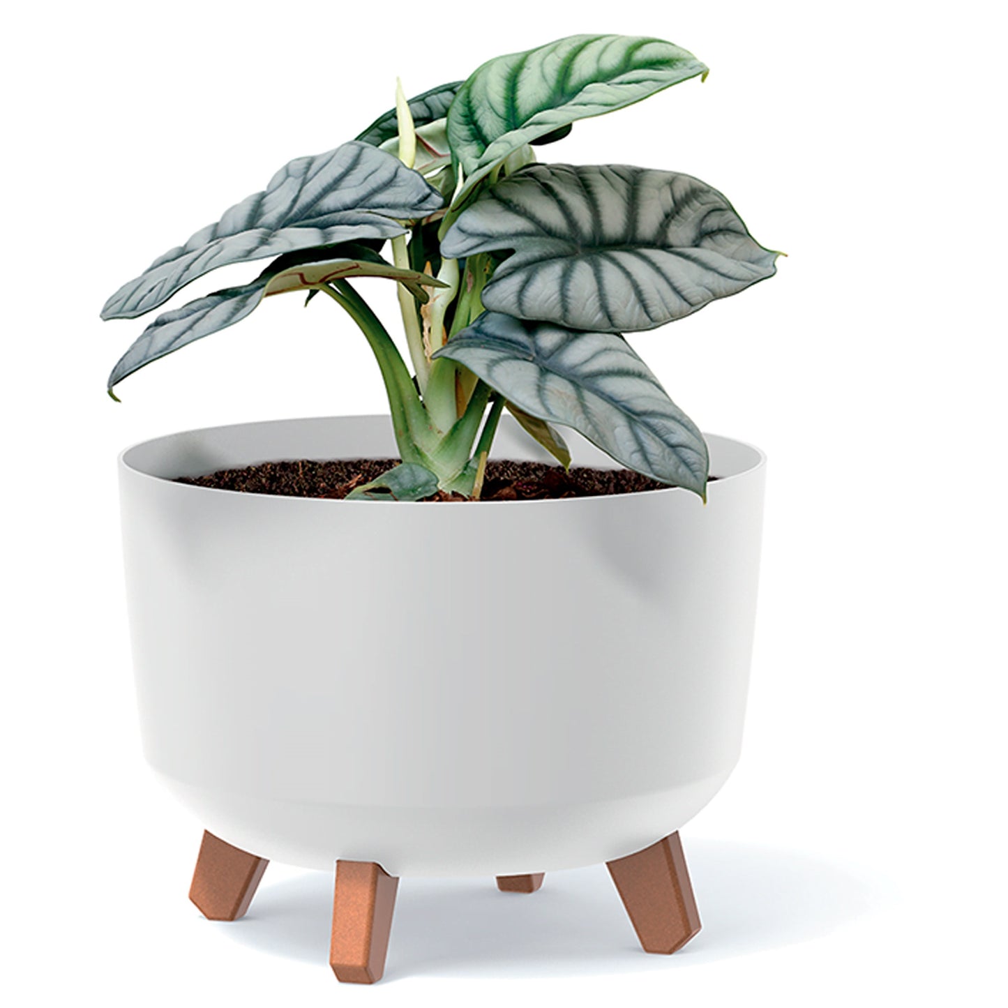 Macetero Color Verde Tierra,sin Depósito , Colección Gracia De 23,8cm X 23,8cm X 18,7cm Cm, Capacidad De 5,1 L._3