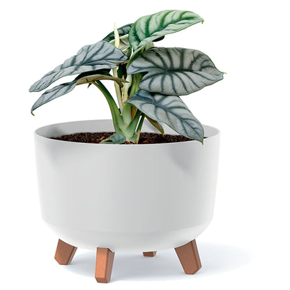 Macetero Color Blanco,sin Depósito , Colección Gracia De 39cm X 39cm X 25,7cm Cm, Capacidad De 21,5 L._3