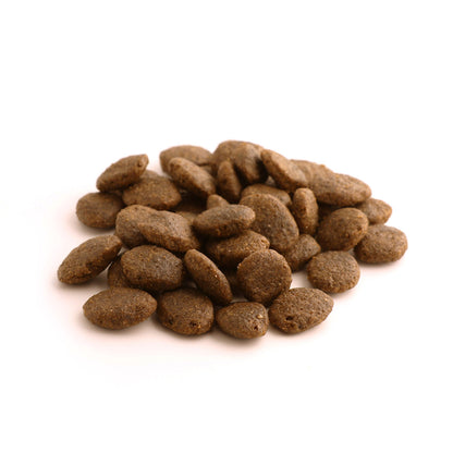 Fish4dogs Pienso Para Perro Adulto Sin Cereales – Salmón Y Patata 6 Kg_1