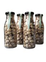 Pack Pistachos Tostados Con Cáscara Eco (4 Botellas 125g).