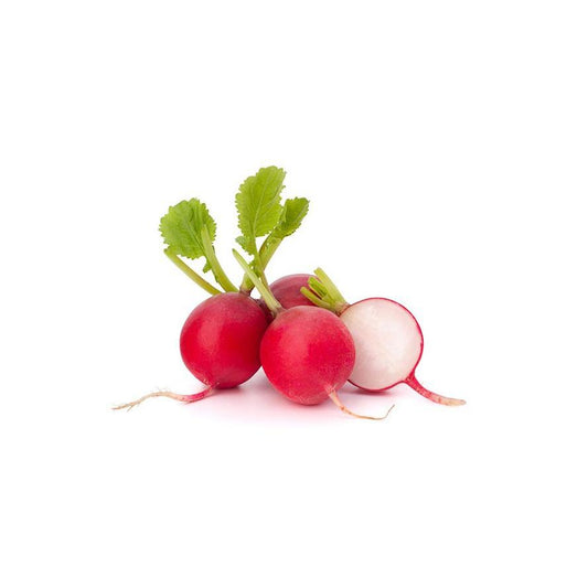Plantón de Rabanito Rojo 6 uds. Gama Tradicional