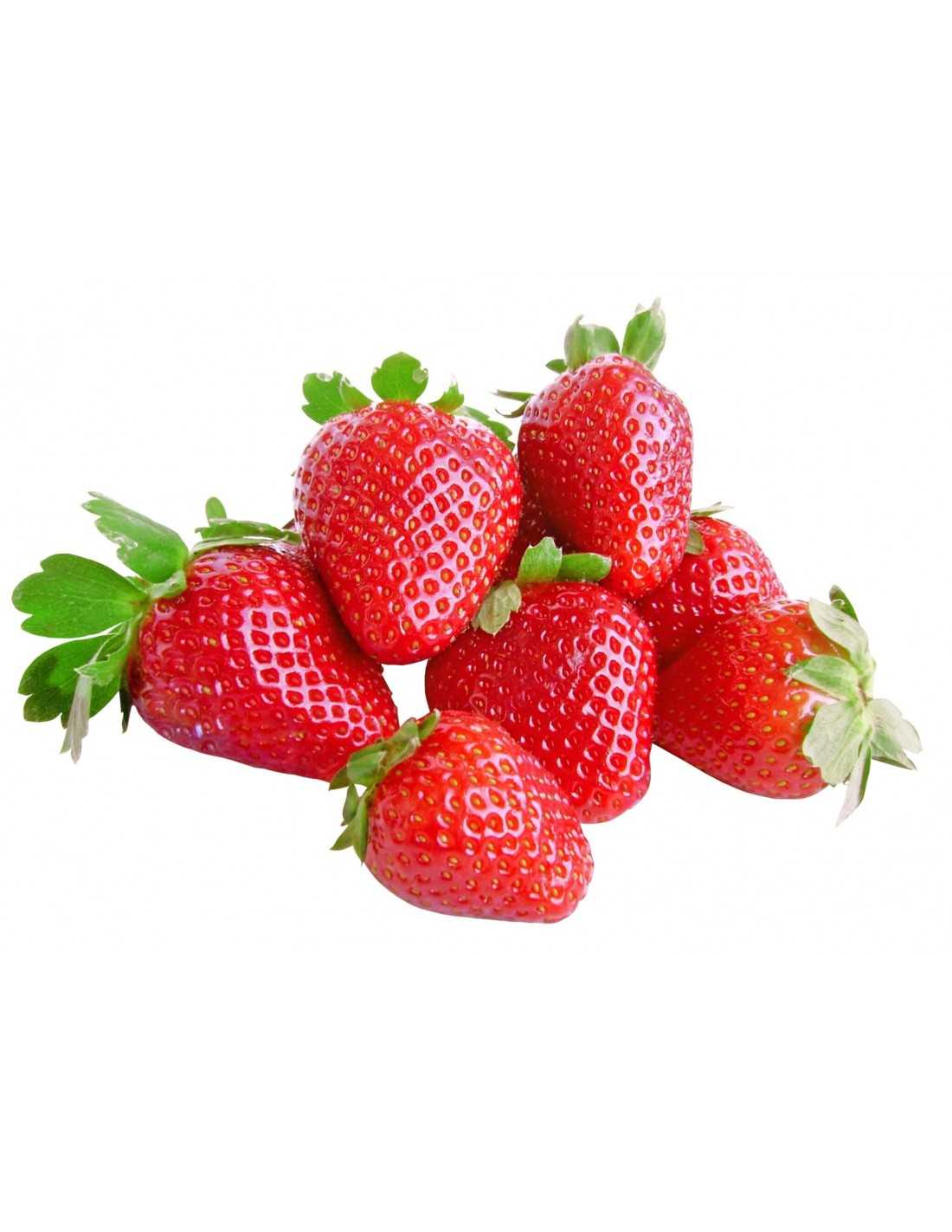 Fresón Ecológico - 1kg_0