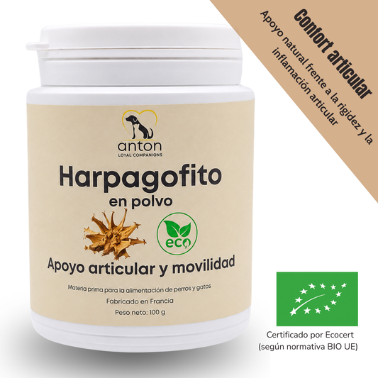Harpagofito ECO para perros y gatos – Confort articular – 100 g_0