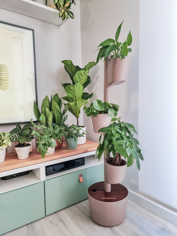 Citysens - Macetero vertical inteligente; color corteza de pino; 3 macetas