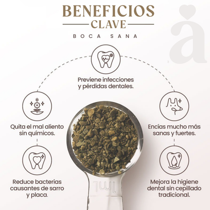 Boca Sana | Ascophyllum Nodosum | Higiene Dental De Perros Y Gatos