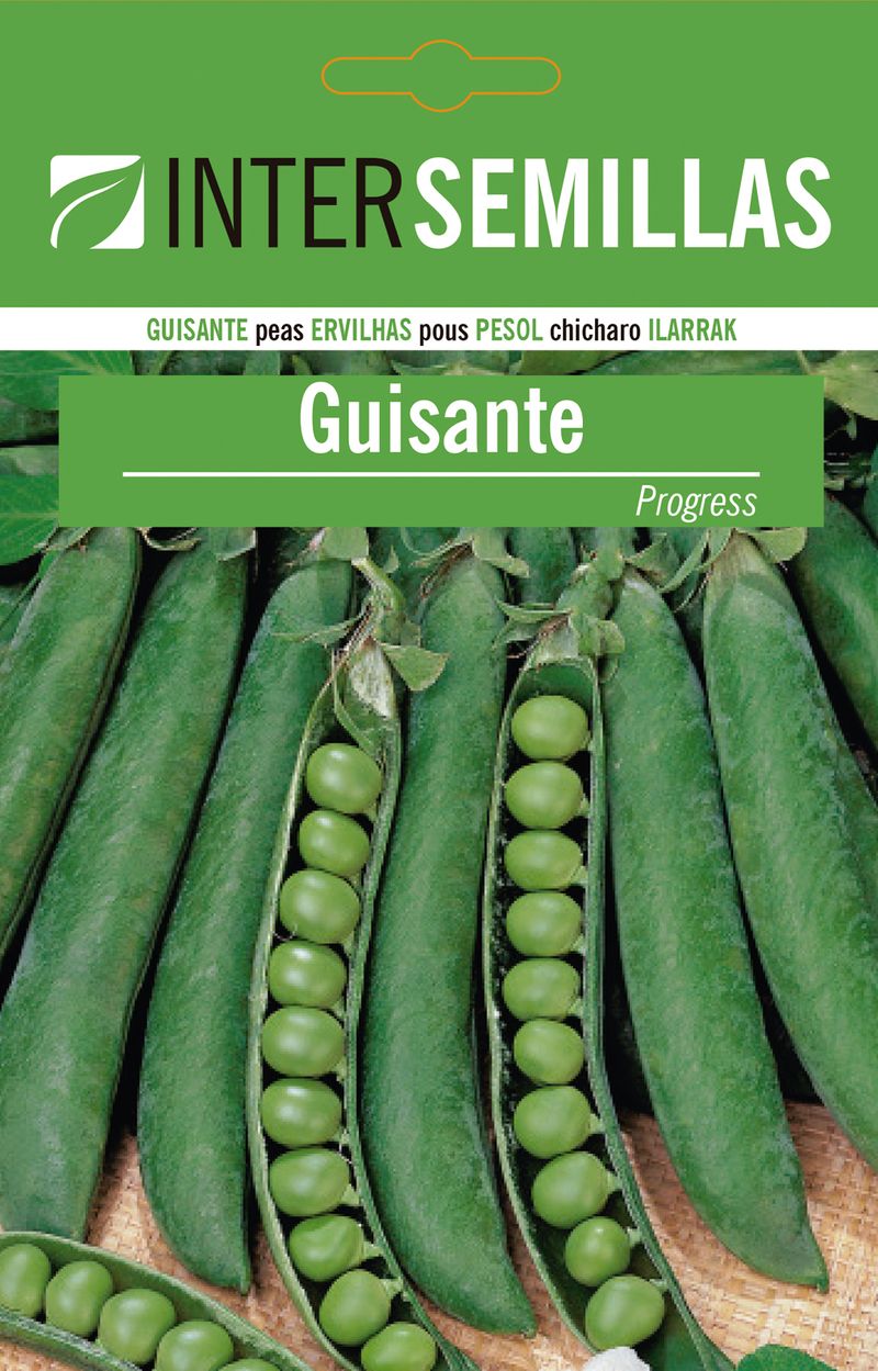 Sobre De Semillas Guisantes Progress