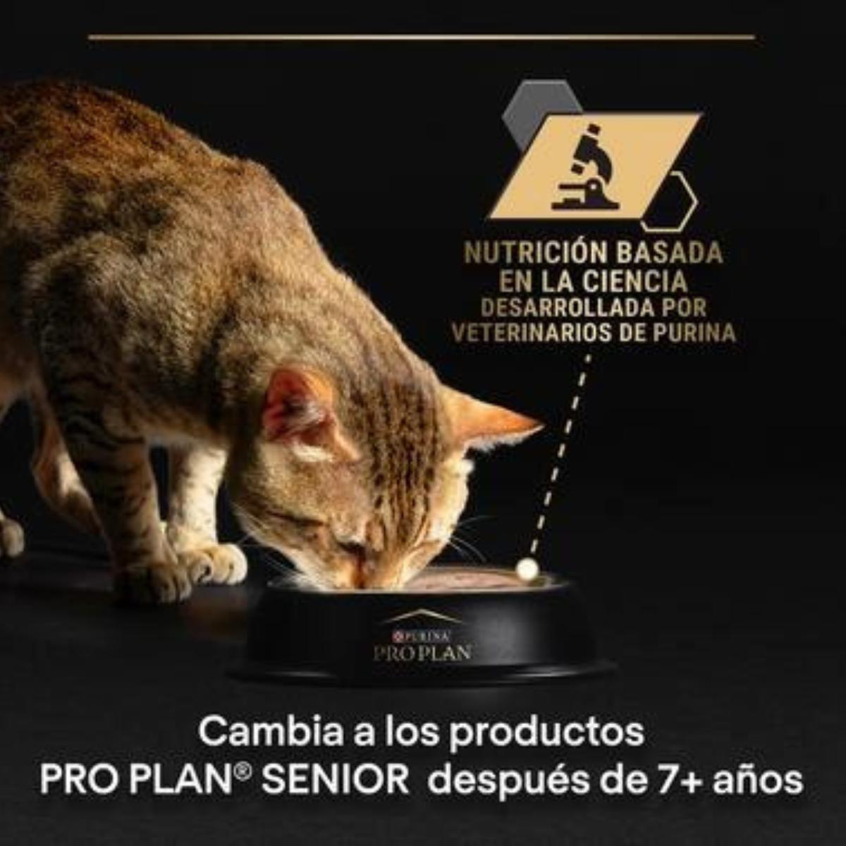Pro Plan Gato Adulto Sterilised  Maintenance Terrina con atún y salmón Purina lata 12 x 85 g