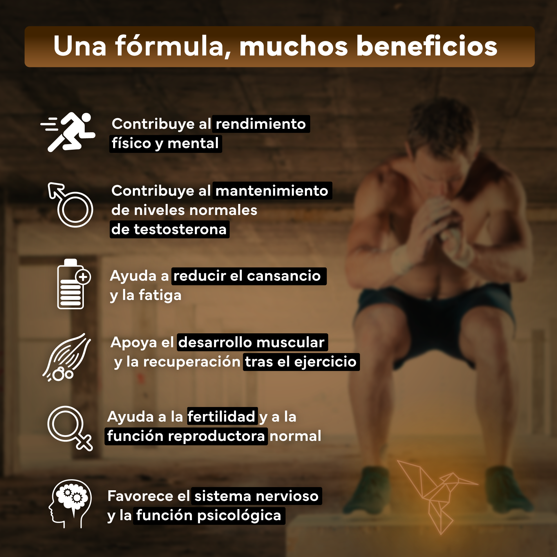 Maca Negra Con L-arginina Y Zinc + Vitaminas B6, B12 Y C. Reduce El Cansancio Y Aumenta Energía_2