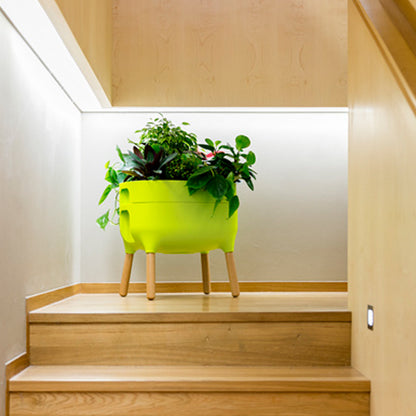 Jardinera Elevada Urbalive Low Verde Claro Verde.