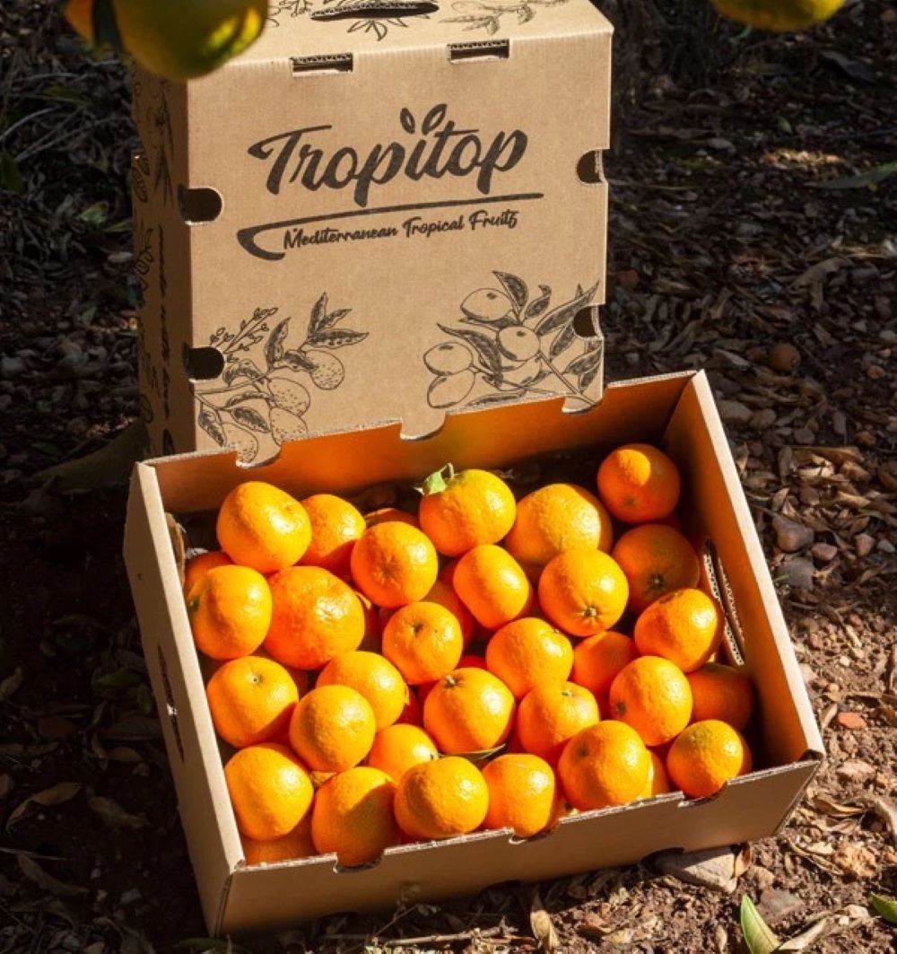 Caja de 9kg Mandarinas Del Campo Tropitop_1