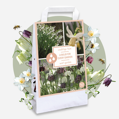 Caja Jardín Húmedo - 30 Bulbos Para Zonas Húmedas Y Lluviosas