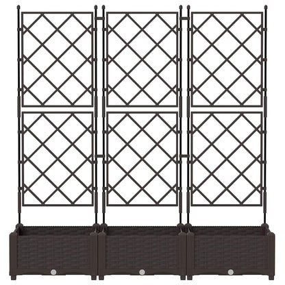 Vidaxl Maceta De Jardín Con Enrejado 3 Pcs Marrón 120 X 40 X 125.5 Cm_4