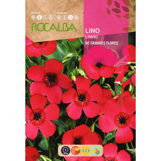 Semillas de Lino de grandes flores, rojo