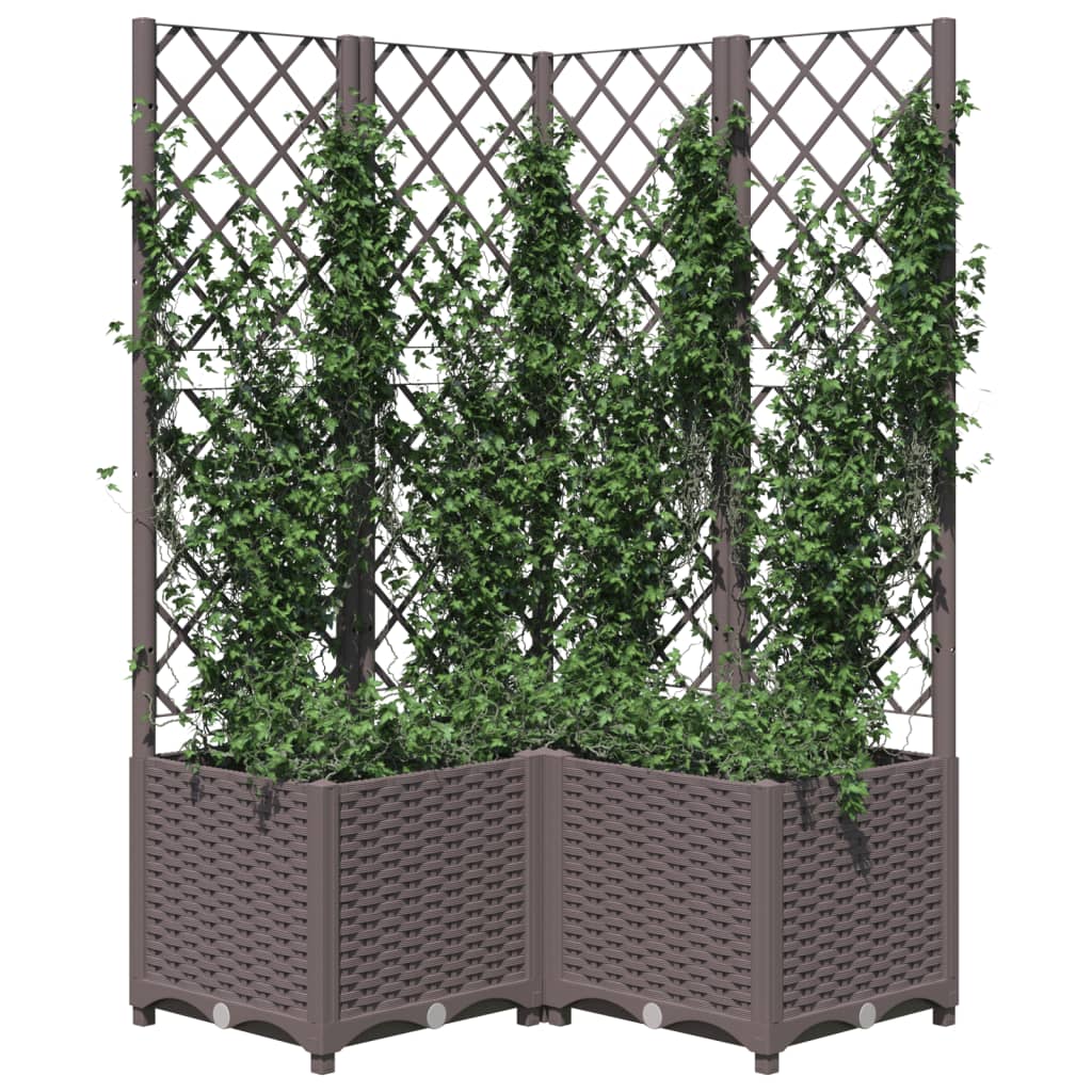 Jardinera Con Enrejado Pp Marrón 80x80x136 Cm_2
