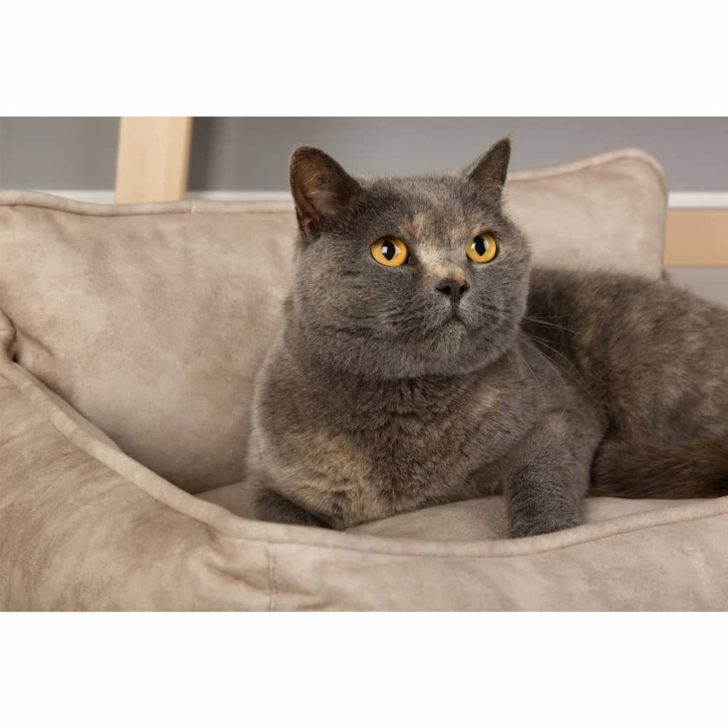 Scruffs & Tramps Cama Para Perros Kensington Crema L 90x70 Cm / Vetonek_3