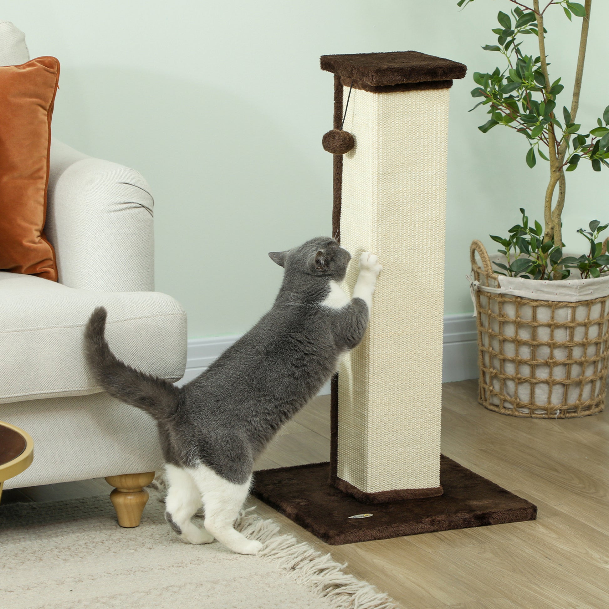 Pawhut Poste Rascador Para Gatos Altura 81 Cm Con Poste De Yute Y Bola Colgante_1
