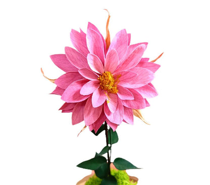 Mundo Eterno Dalia Rosa En Cúpula 12x20cm