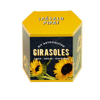 Kit Autocultivo Girasoles Cultiva Flores Grandes y Luminosas en Casa - Resetea_0