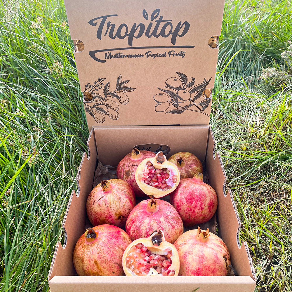 Caja 10kg Granada Fruta Fresca_3