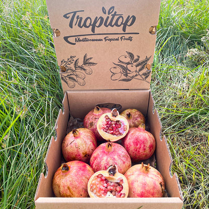 Granada Fruta Fresca Directa Del Campo - Caja 4kg_3