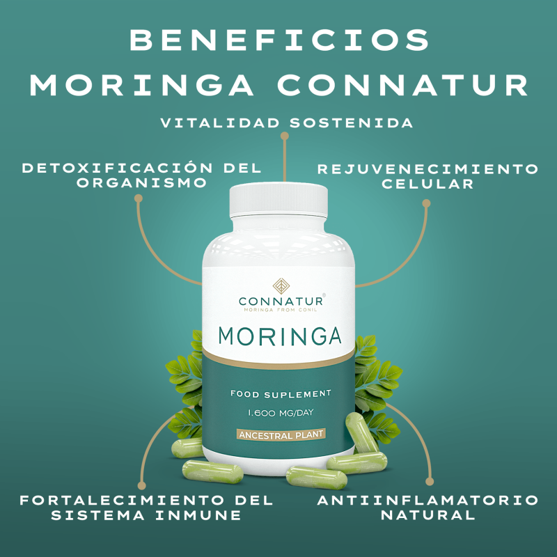 Moringa Oleifera Bio 120 Capsulas Connatur - Pack 3 Unidades_2