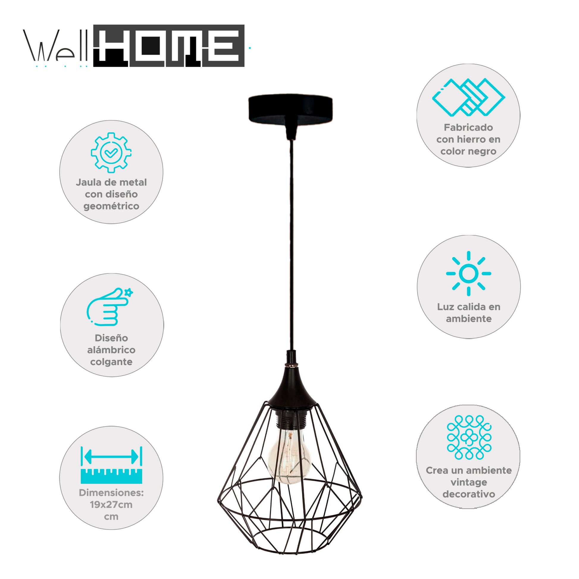 Wellhome Lámpara Techo Suspensión Metálico Negro D.19 H.27cm_1
