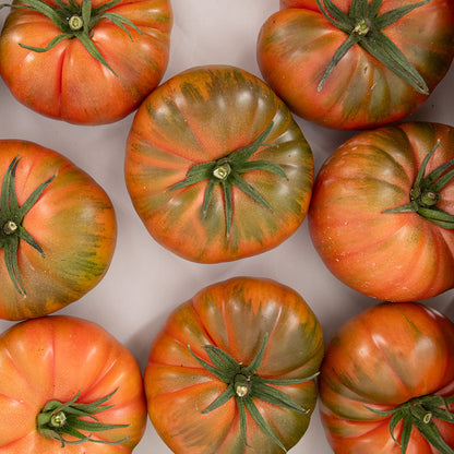 Tomate Marmande Rosa_4