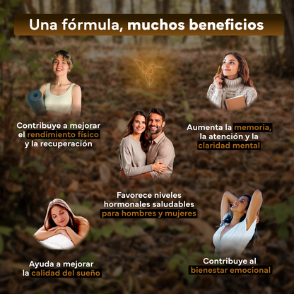 Ashwagandha Ksm-66 Complex Con Pimienta Negra Sevens Nutrition.  Bienestar, Energía Y Concentración_2