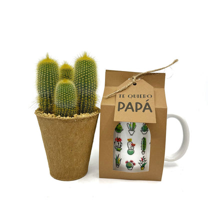 Pack Regalo Día Del Padre Taza Cactus + Planta_0