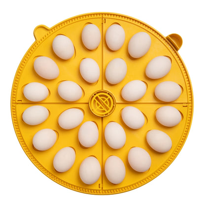 Incubadora Brinsea Maxi 48 Advance - Incubadora Para Huevos De Diferentes Especies De Ave - Con Volteo Automático_5